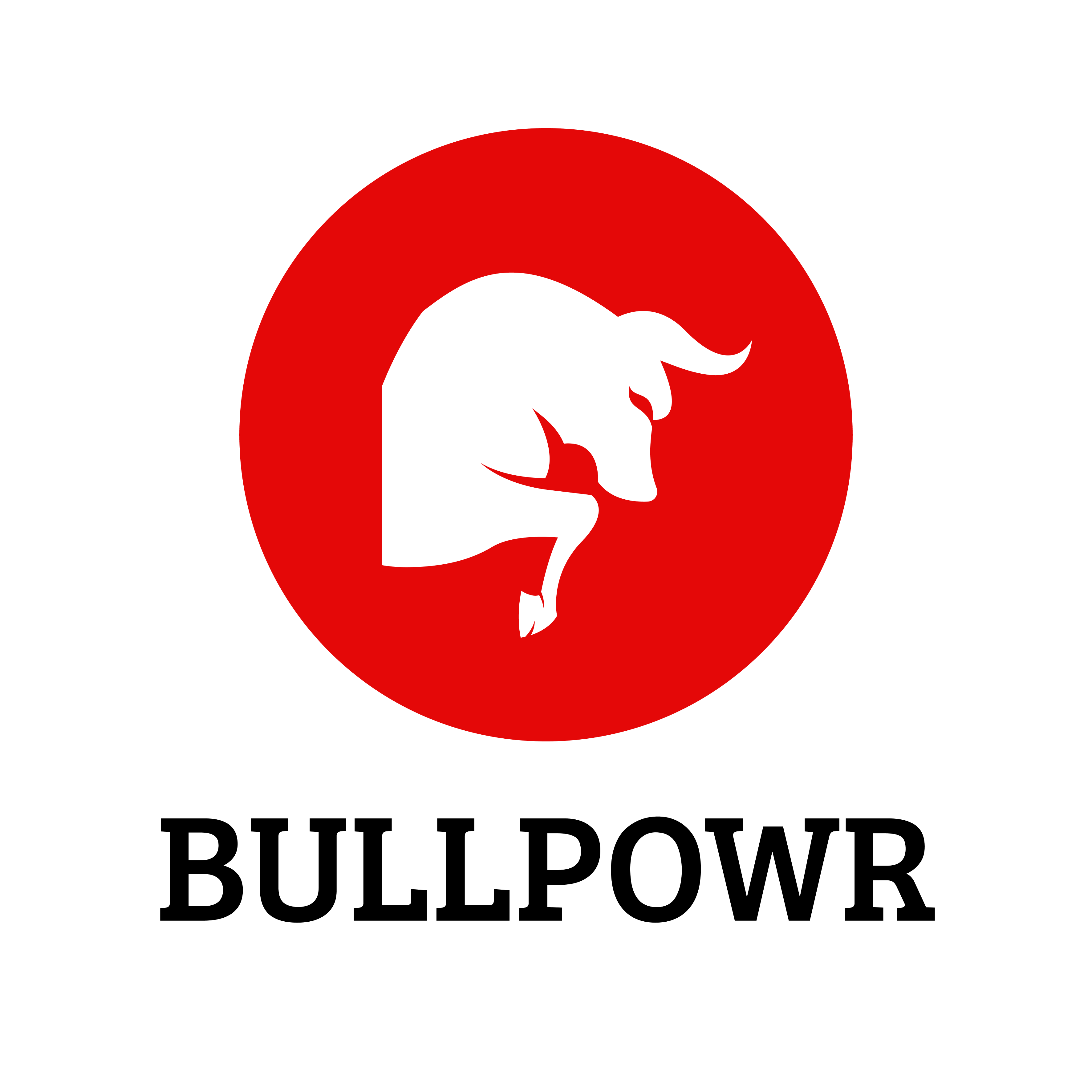 BullPowr